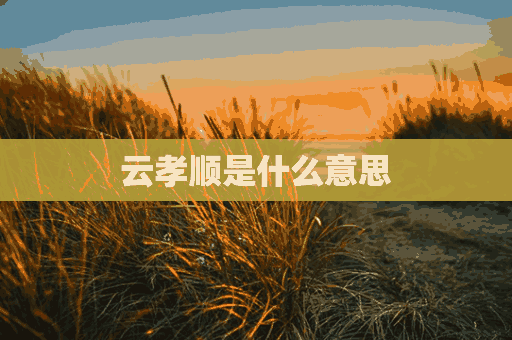 云孝顺是什么意思